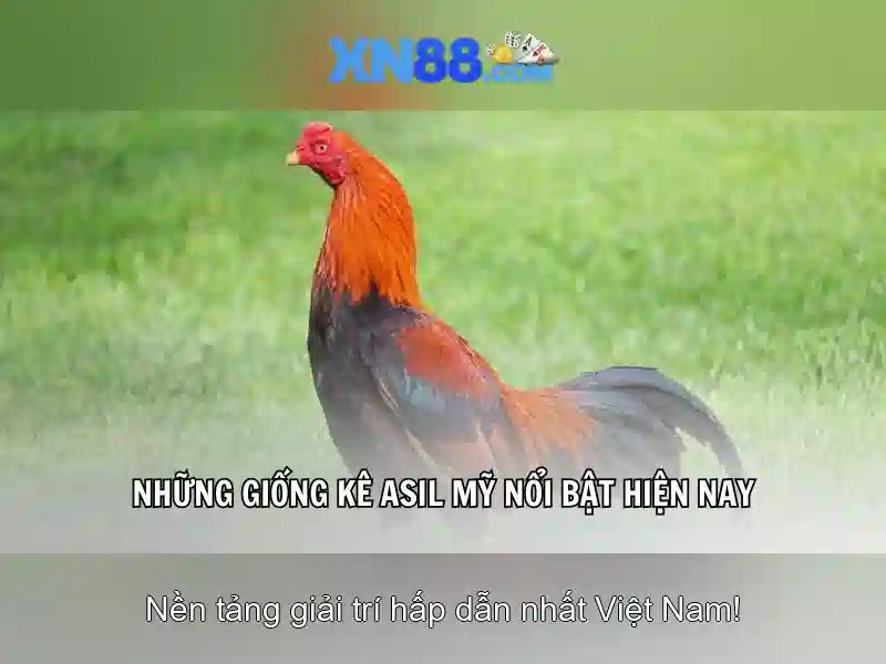 💎tải apk 188v miễn phí💎 - khuyến mãi 188v - 188v win