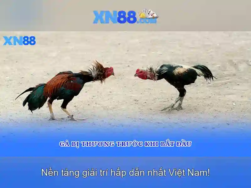 💎keo nha cai bong da nam olympic💎