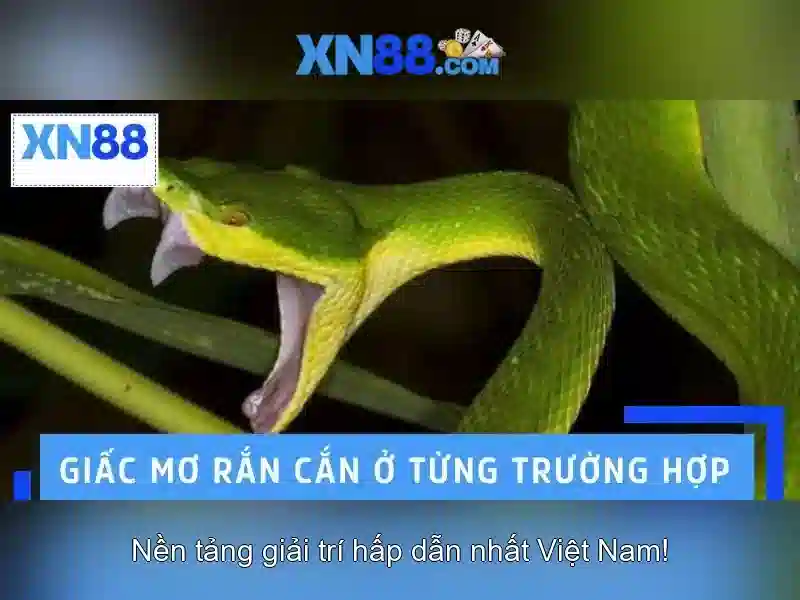 💎bang ty so ca cuoc bong da hom nay💎