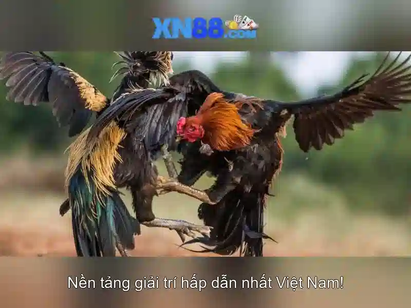 💎hb88 caishen slot game💎