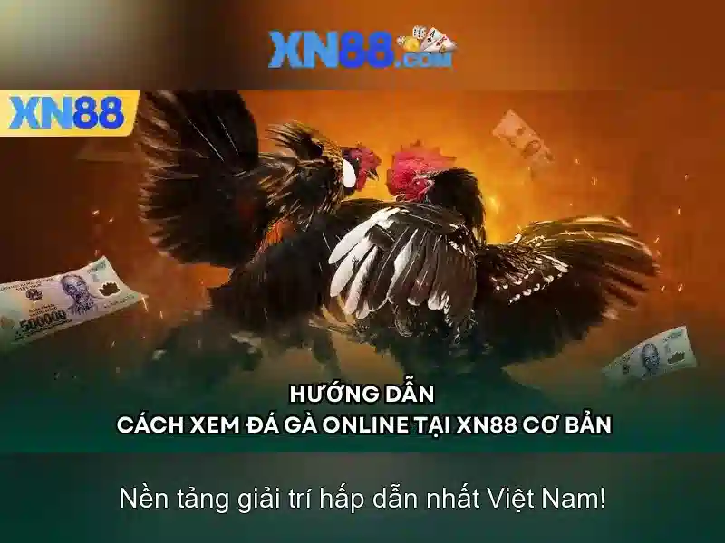💎truc tiep bong da keo nha cai 365💎