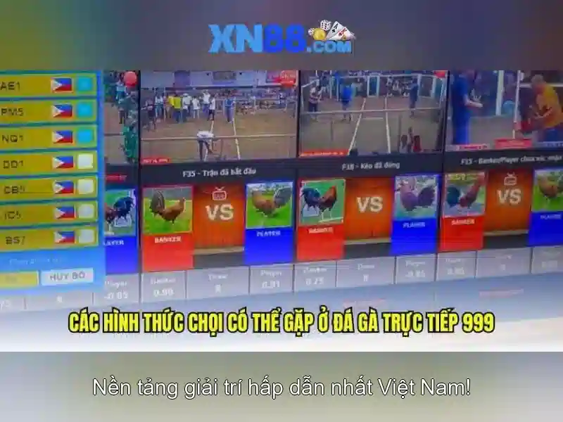 💎jungle king 888 slot💎