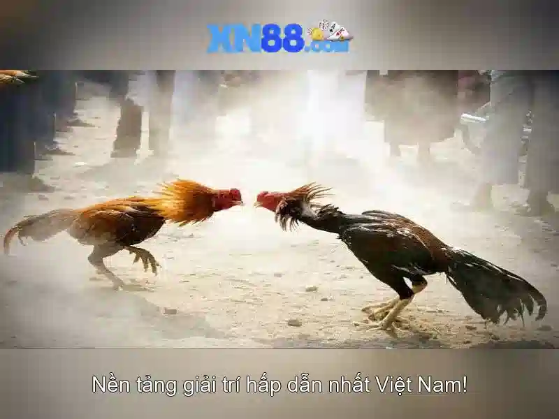 💎liverpool lineup xn88 slot💎