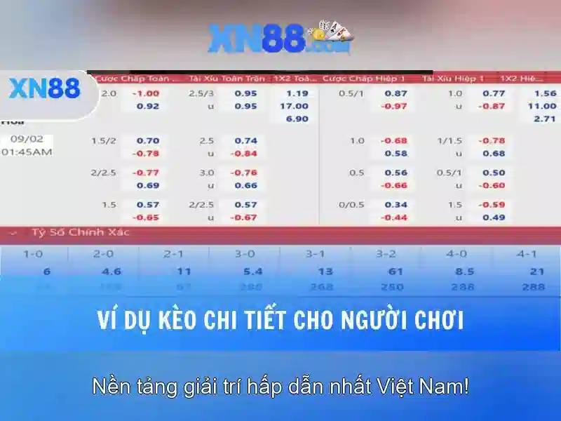 💎xn88 capital partners💎