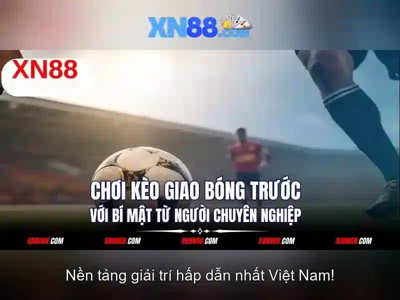 💎nhà cái n666💎