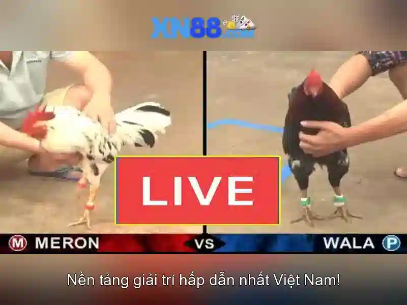 💎tỷ số ca cuoc bóng đá hôm nay💎