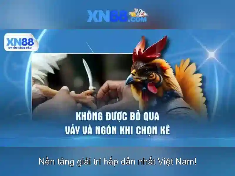 💎888 slot viet💎