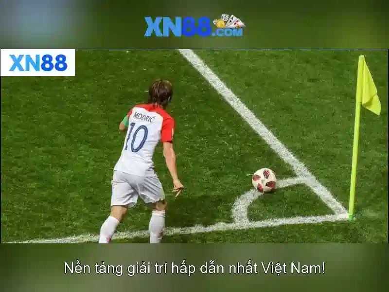 💎fachai xn88 download💎