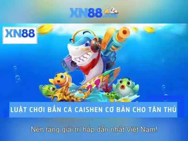 💎nhà thờ cái đôi trà vinh💎