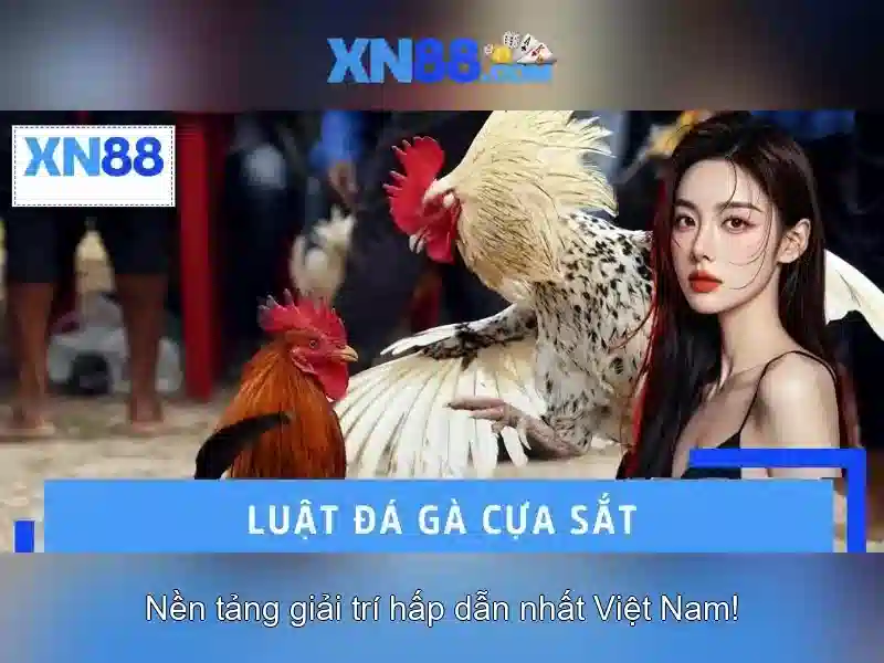 💎vị dụ về cải cách hành chính nhà nước💎