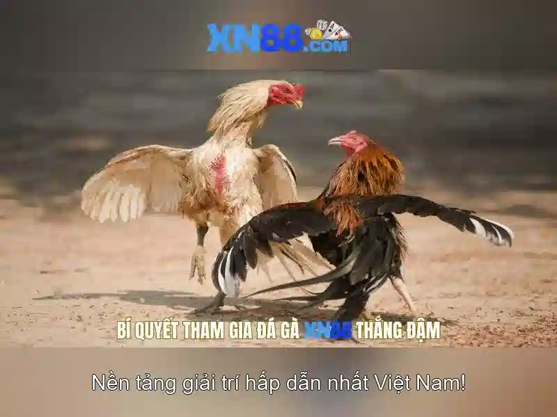 💎hb88 media gmbh💎