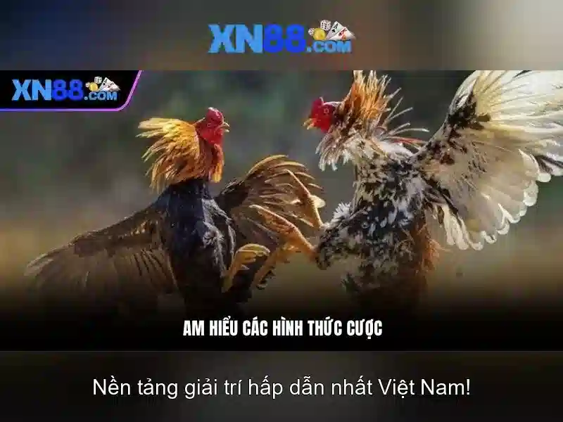💎sân cầu lông 66b triều khúc💎 - 66b trần hưng đạo - 66b triều khúc