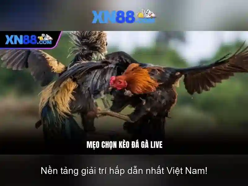 💎66b giftcode💎 - 336/66b phan văn trị, p11, q.bình thạnh, hcm - 66b phan đăng lưu phường 5 phú nhuận tp.hcm