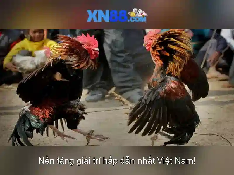 💎kèo nhà cái nhật bản tây ban nha💎