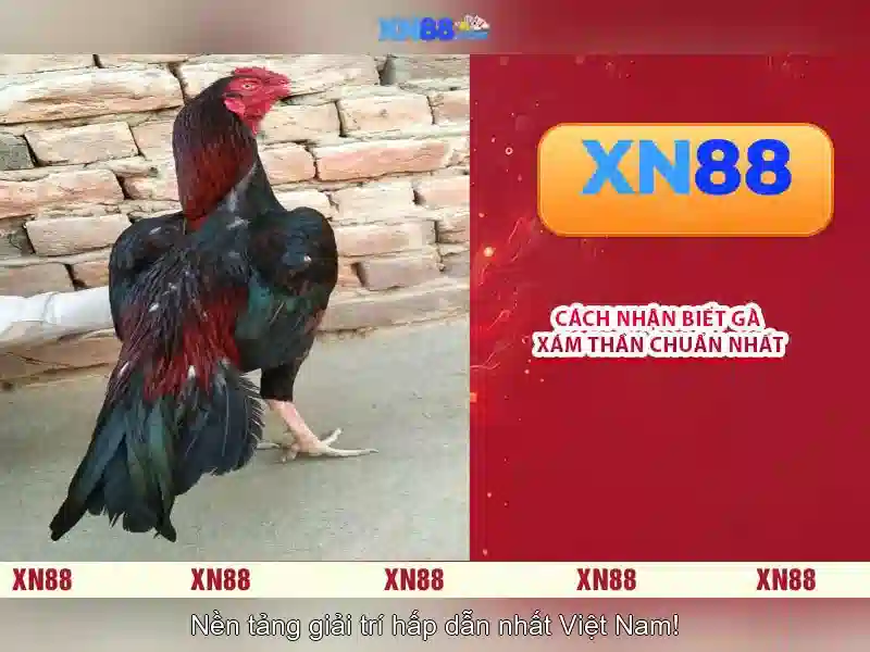 💎hb88 slot erik ten hag💎
