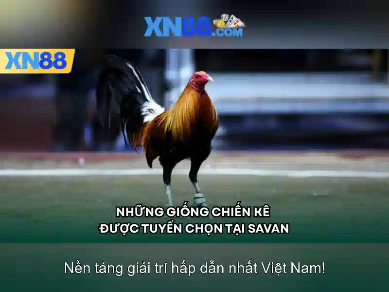 💎hb88+tặng+100k💎 - nạp tiền hb88 - link vào hb88