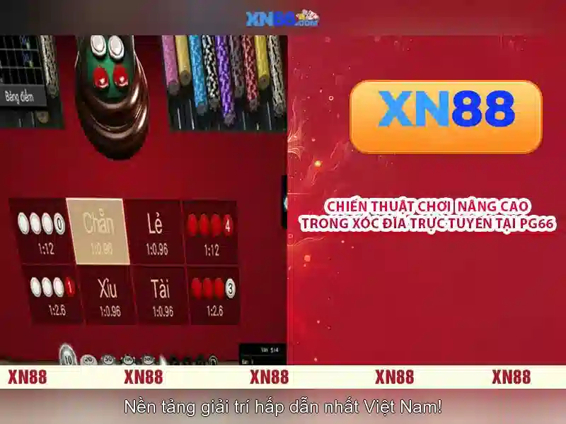💎xn88 2025💎