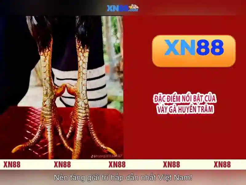 💎krikya hb88💎