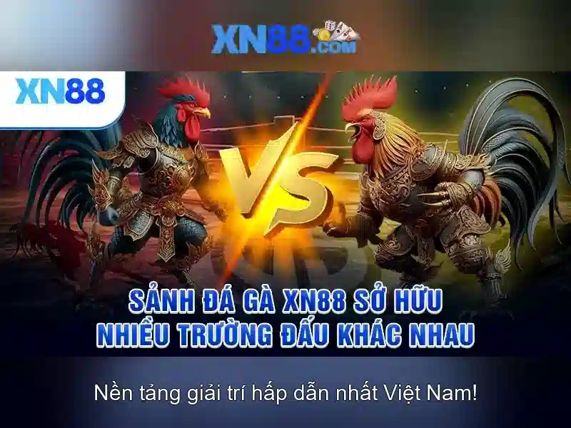 💎cá cược bóng đá 2022💎