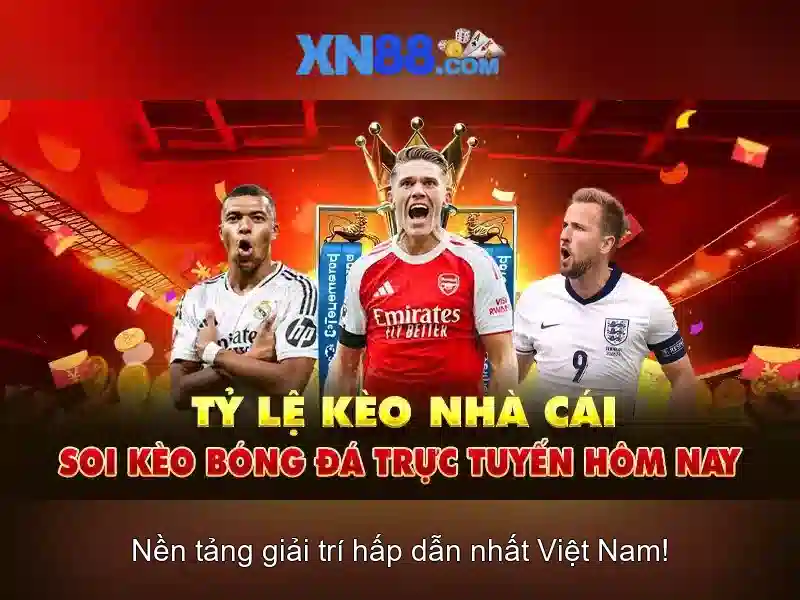 💎cá cược dkbl💎