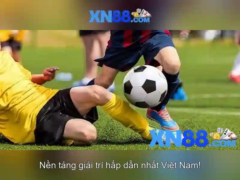 💎top 9 nhà cái cá cược uy tín💎