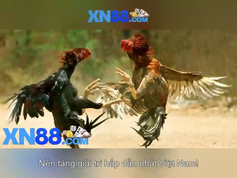 💎gerçek parali slot oyunlari💎