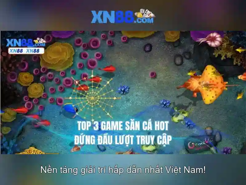  hỗ trợ người chơi - XN88
