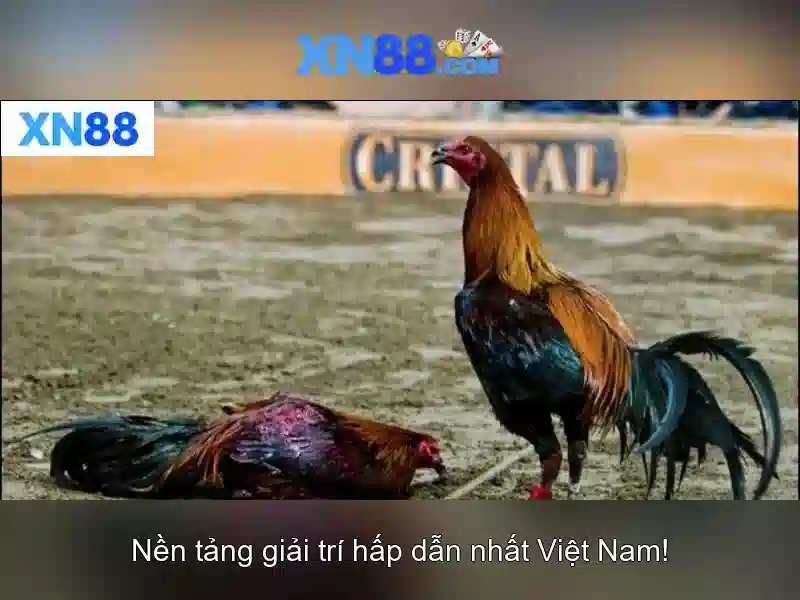 💎play diamond mine slot online💎