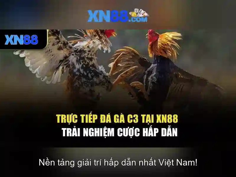 💎define slots vue 3💎