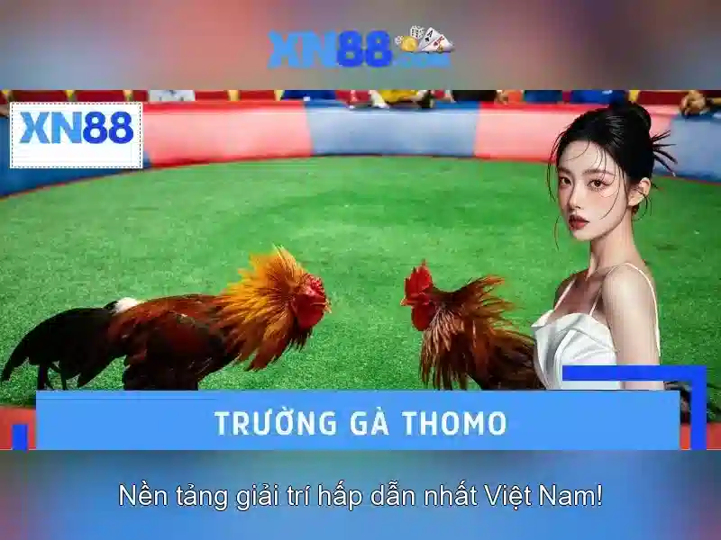 💎keo nha cái euro 2024💎