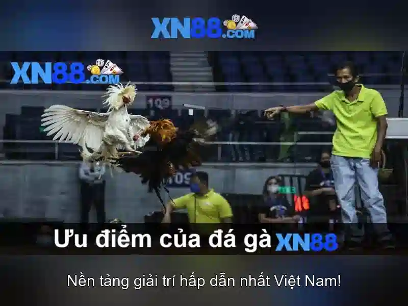 💎555win mobi💎 - 555win co com - 555win app