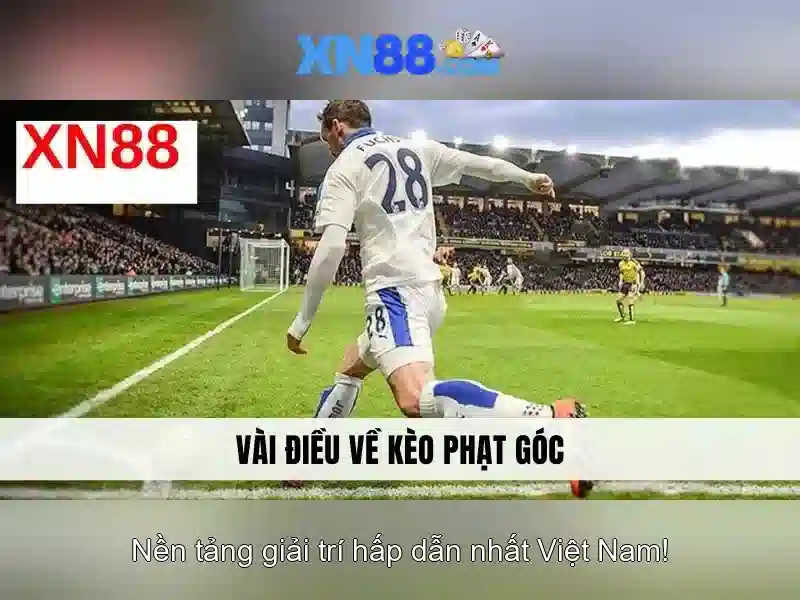 💎cá cược quả bóng vàng💎