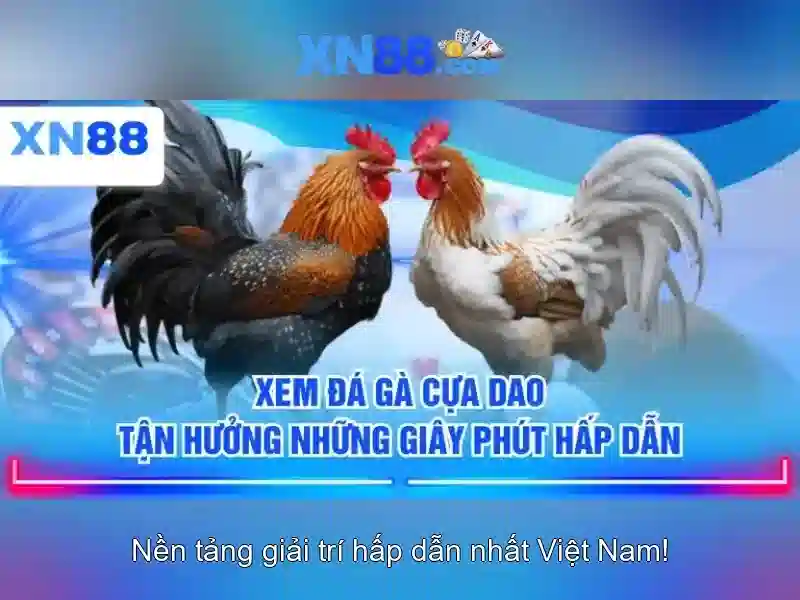 💎hop phap hoa ca cuoc bong da💎