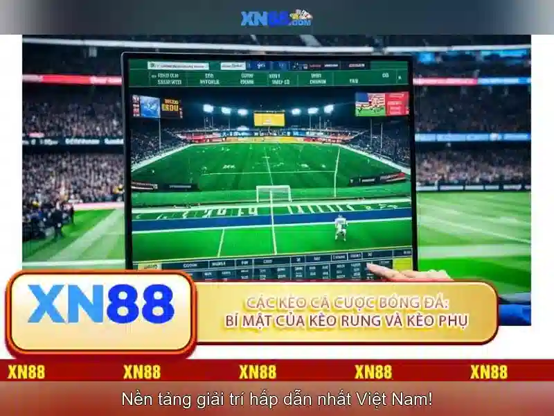 💎lexar® dual-slot usb-a/c reader💎