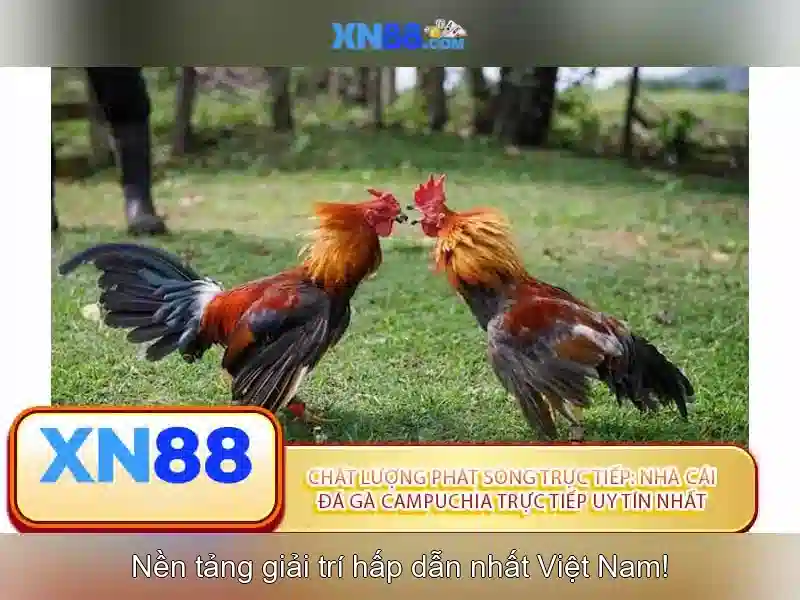 💎dragon gold slot machine💎