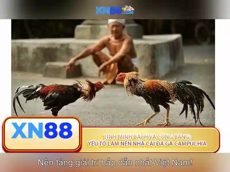 💎keo nha cai bong đa💎