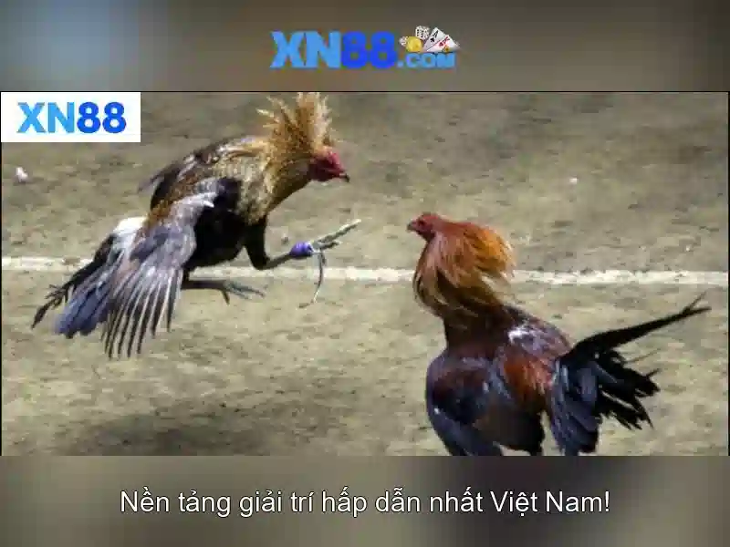 💎top betsoft slot sites💎