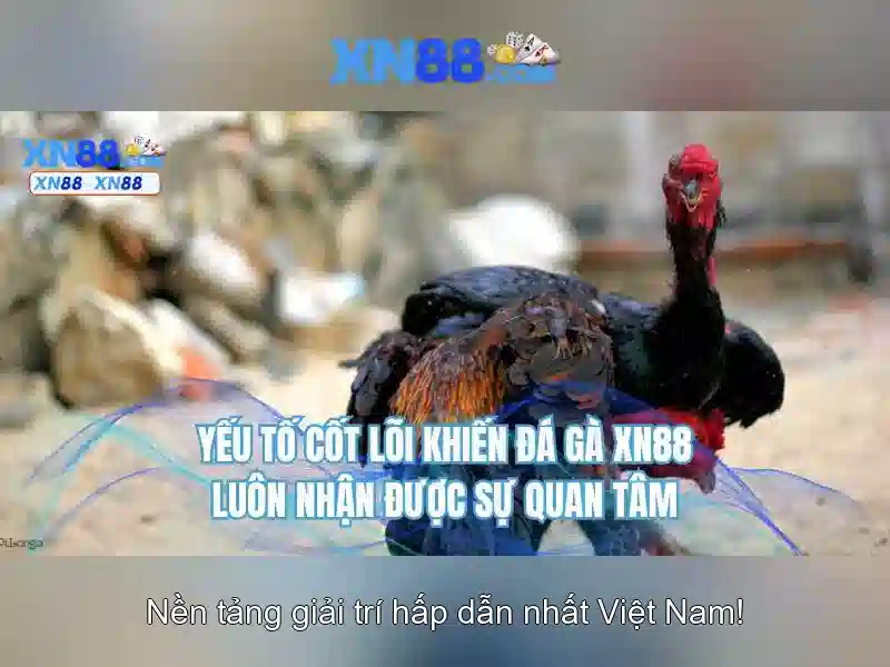 💎66b không vào được💎 - 66b triều khúc map - sources shein 66b may