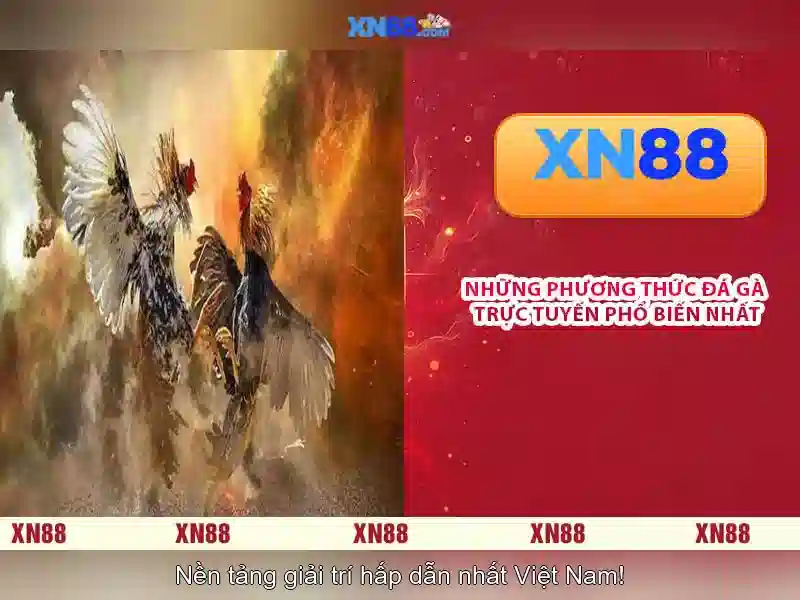 💎188v official💎 - 188v đăng nhập - hỗ trợ 188v