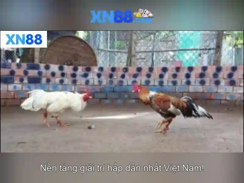 💎nhà cái nhà cái 33win 68💎