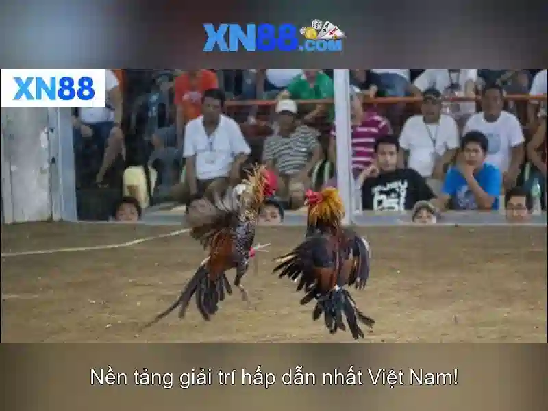 đăng ký xn88 - XN88