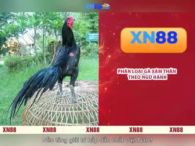 💎java online 888 slot💎