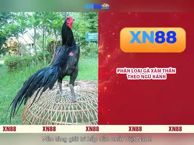 💎kèo nhà cái trực tiếp world cup hôm nay💎