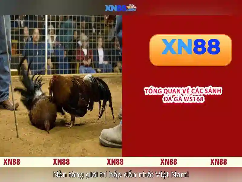 💎bài đánh giá về dookki bạc liêu💎