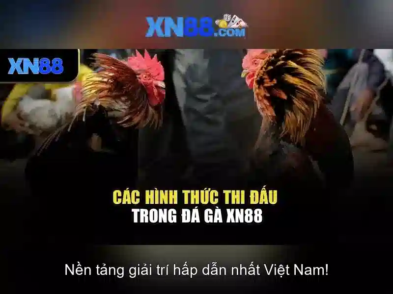 💎top 10 nha cai uy tinh💎